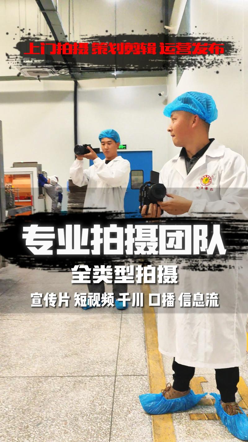 品牌策划：构建企业独特的营销语言